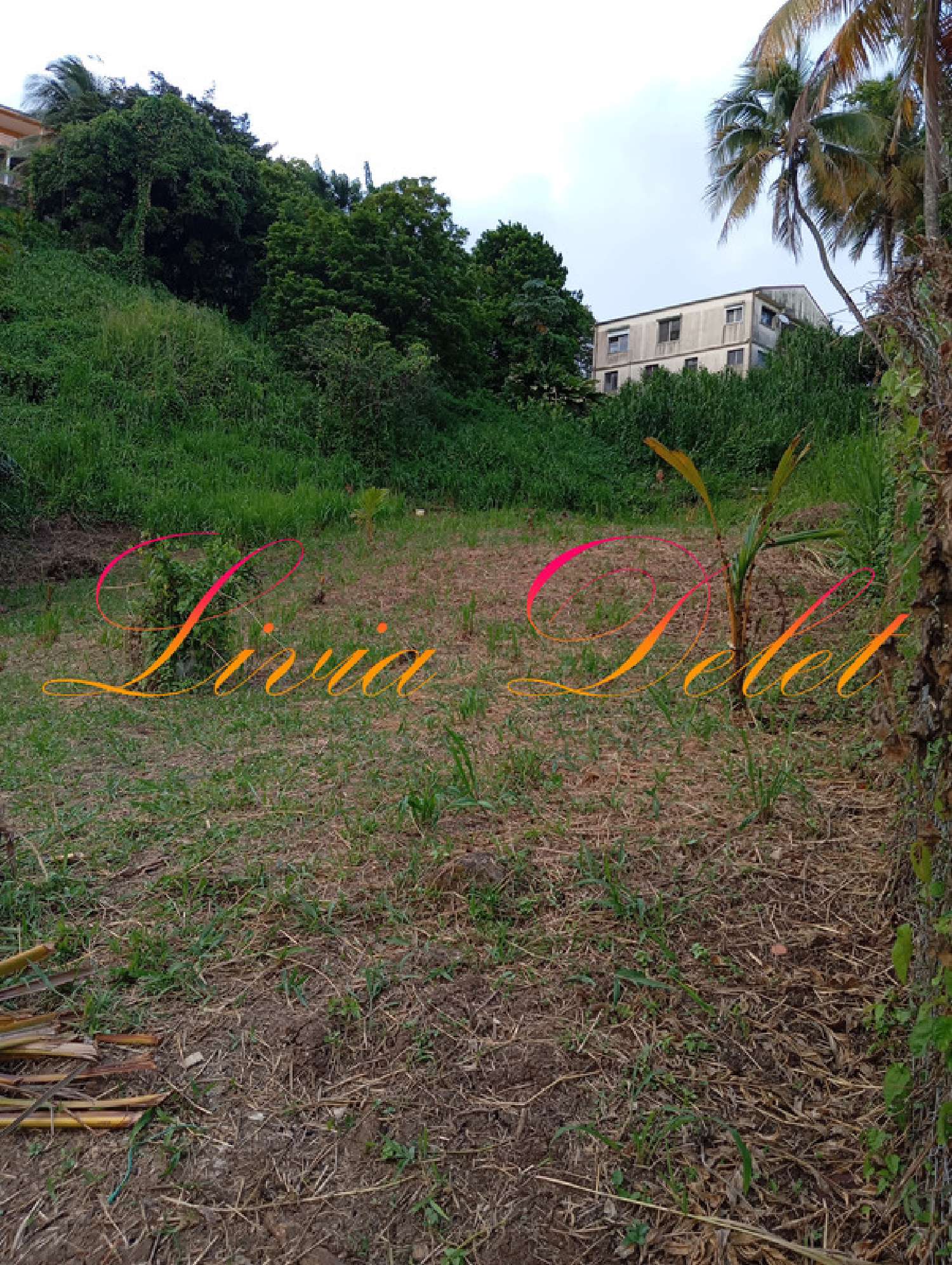 te koop terrein Le Robert Martinique 2