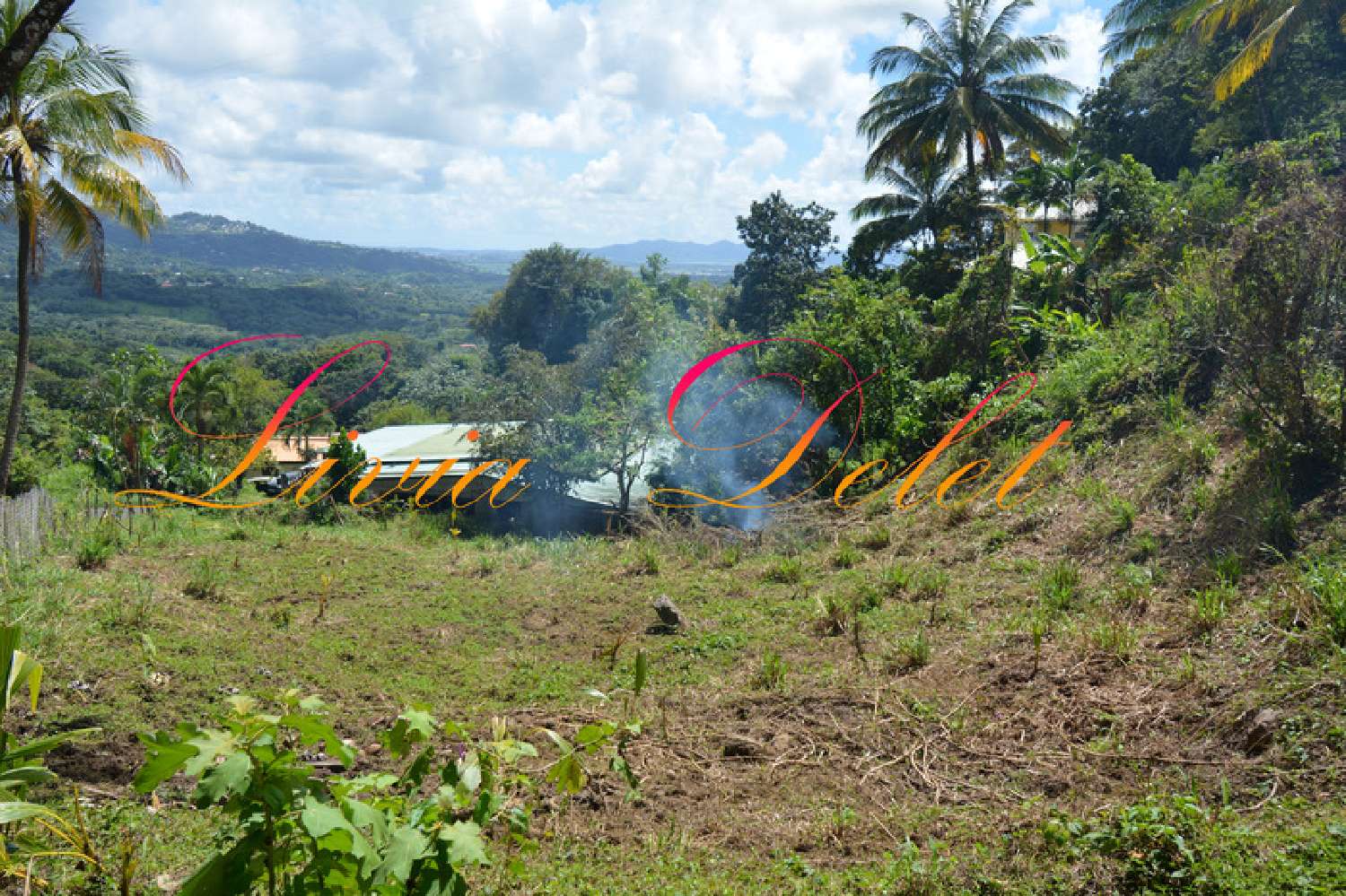 te koop terrein Le Robert Martinique 3