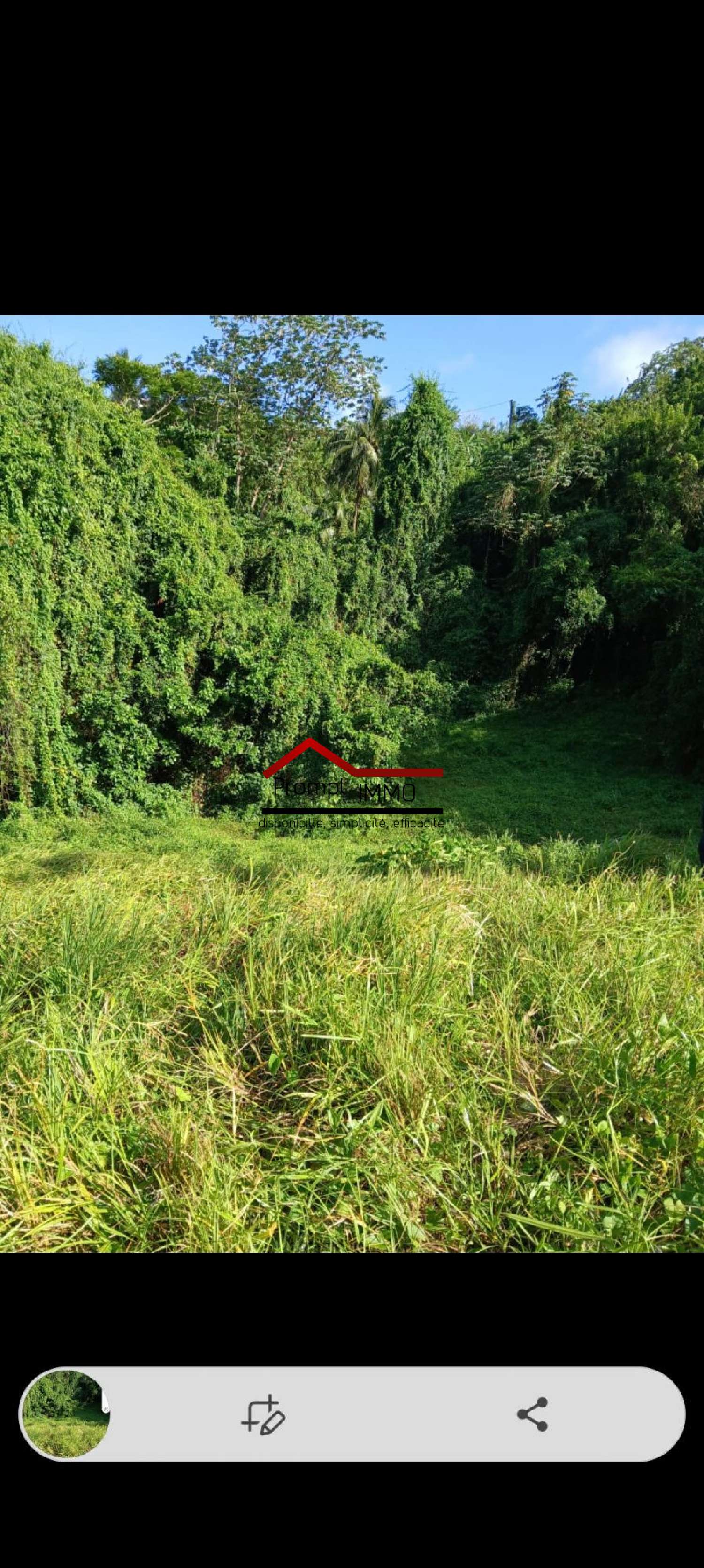 te koop terrein Le Robert Martinique 1