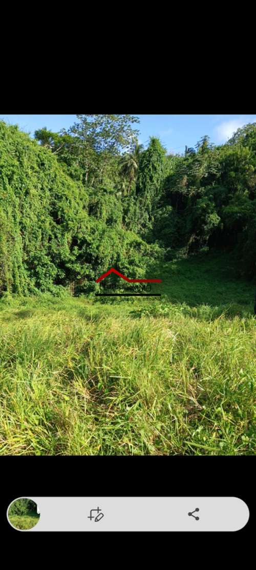 Le Robert Martinique terrein foto 7218734