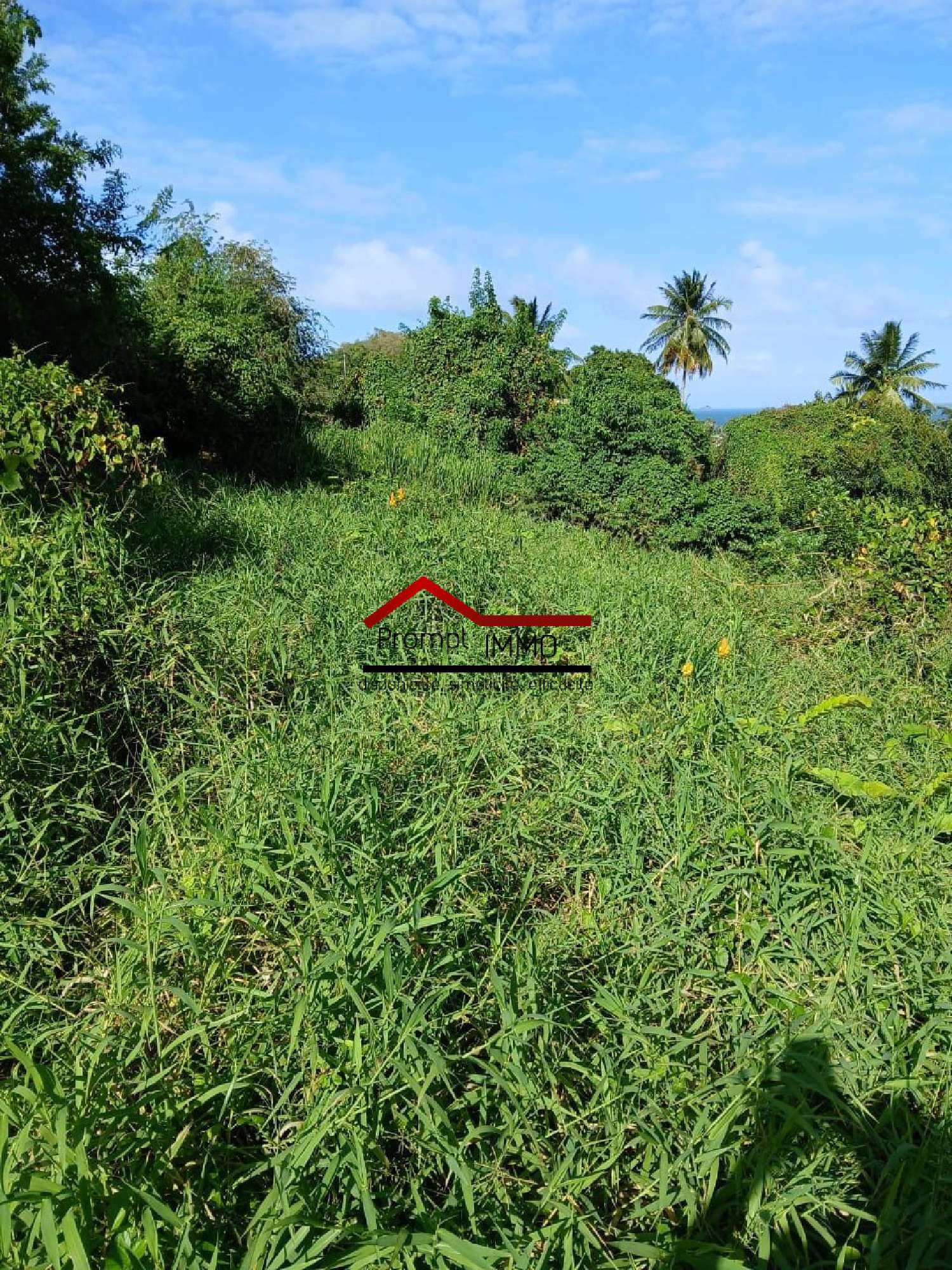 te koop terrein Le Robert Martinique 3