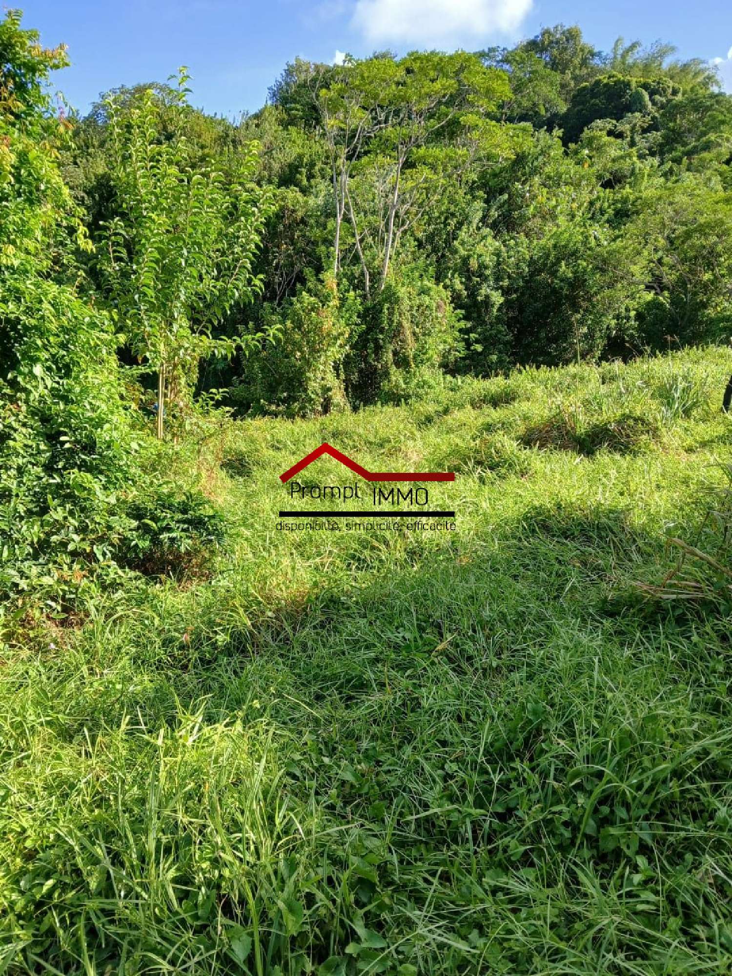 te koop terrein Le Robert Martinique 4