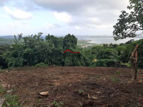 Le Robert Martinique terrein foto 7218735