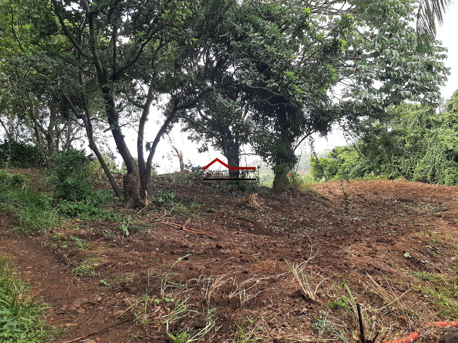  te koop terrein Le Robert Martinique 2