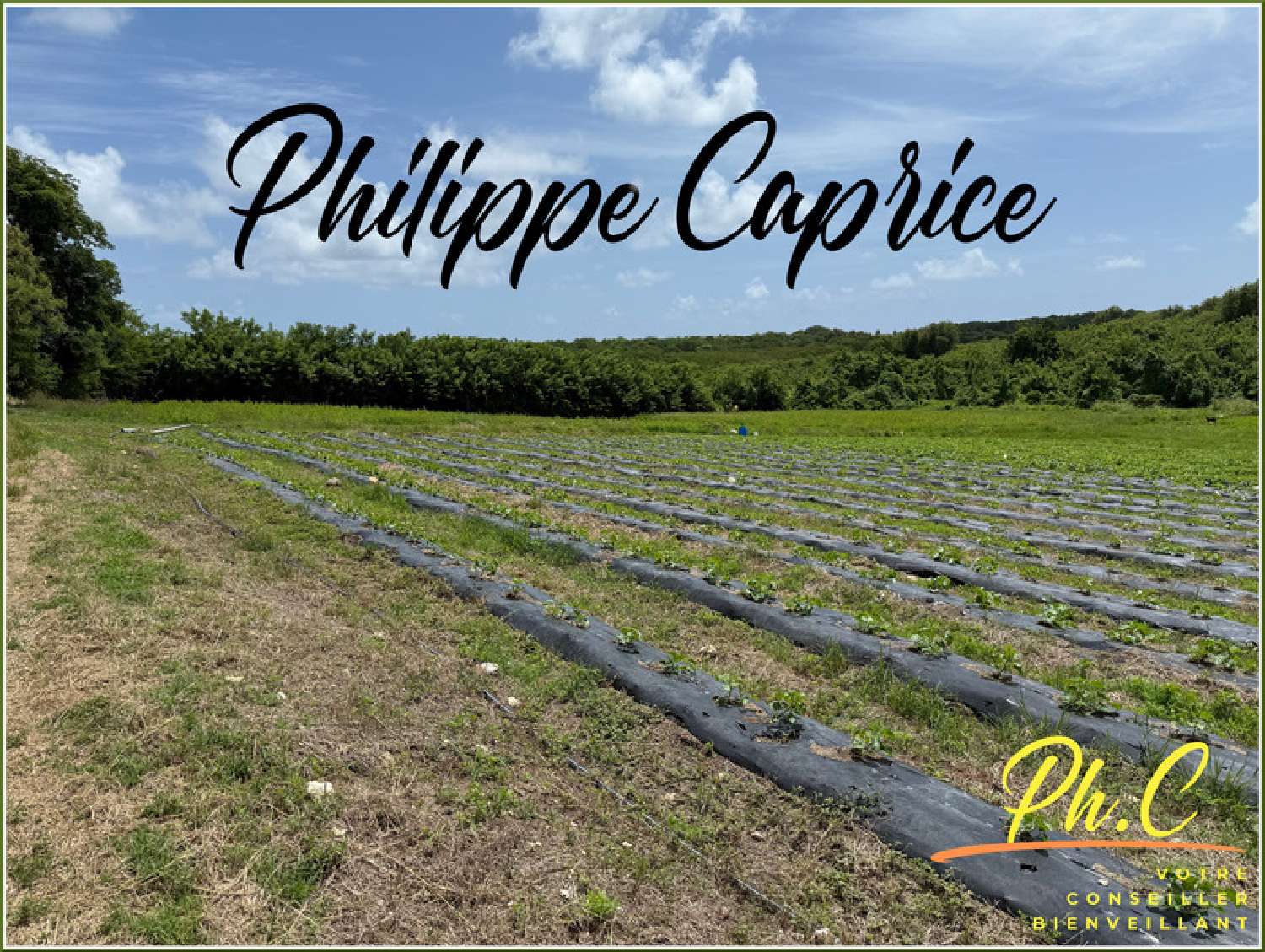 kaufen Grundstück Le Vauclin Martinique 1