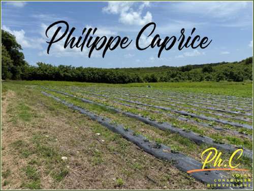 Le Vauclin Martinique Grundstück Bild 7221308