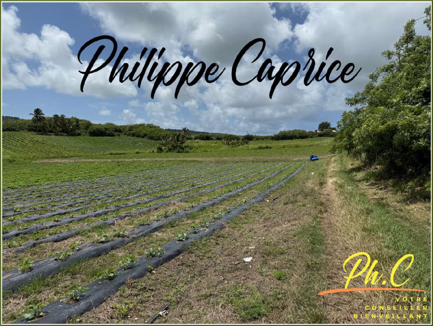 kaufen Grundstück Le Vauclin Martinique 3