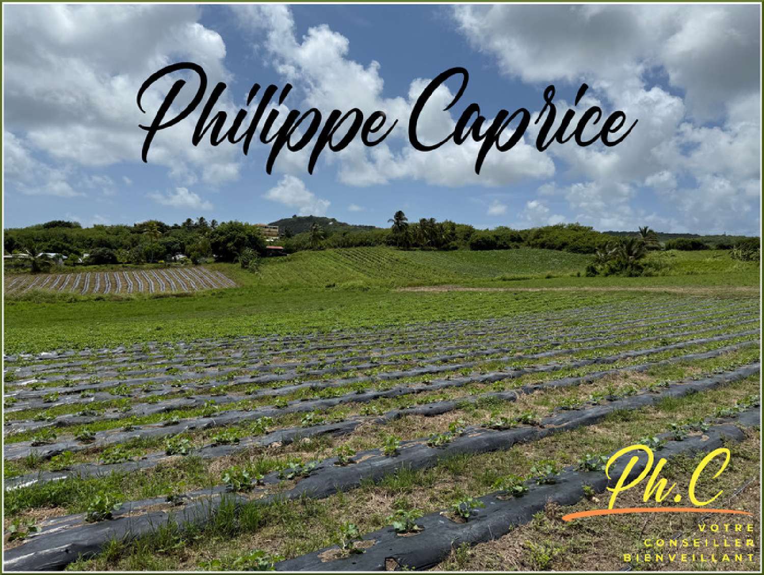 kaufen Grundstück Le Vauclin Martinique 4