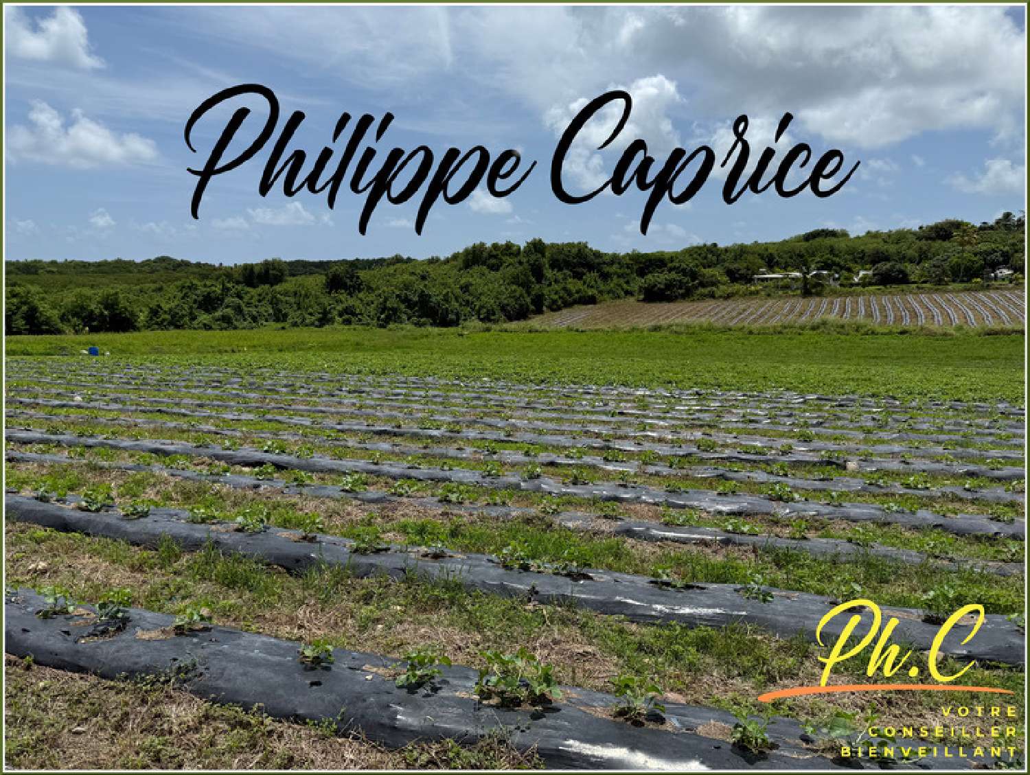 kaufen Grundstück Le Vauclin Martinique 5