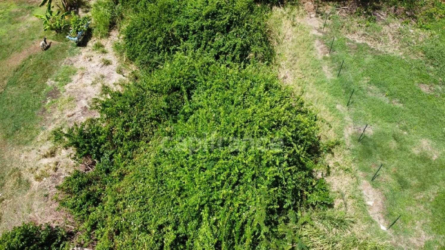 kaufen Grundstück Le Vauclin Martinique 2