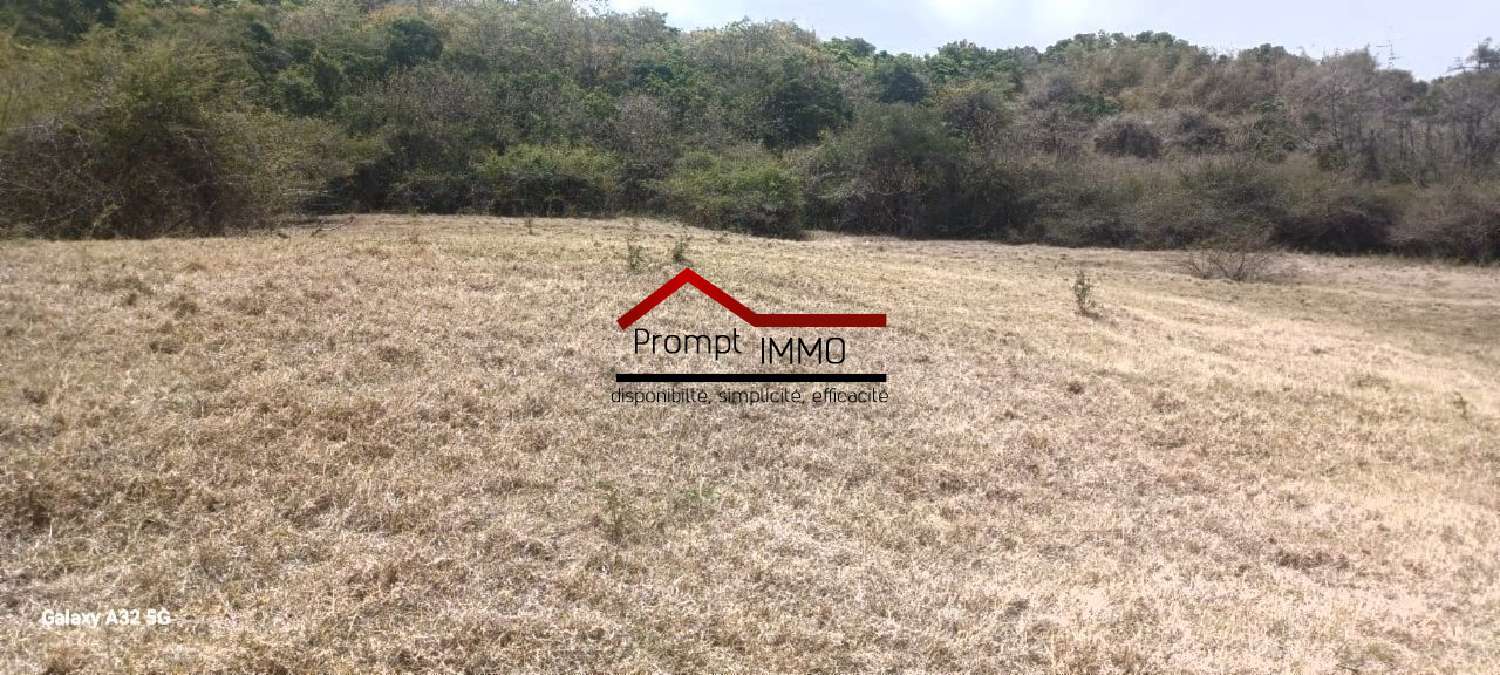 te koop terrein Le Vauclin Martinique 2