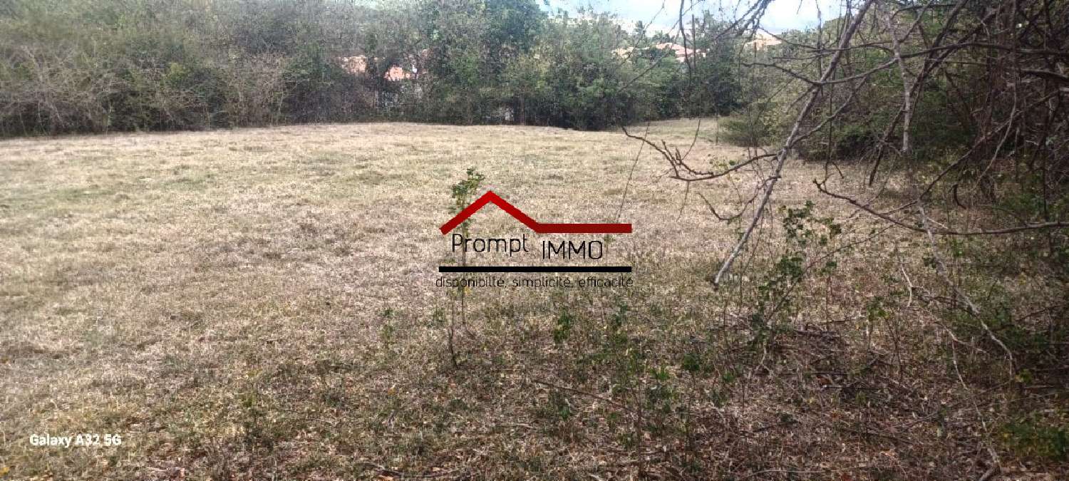 te koop terrein Le Vauclin Martinique 2