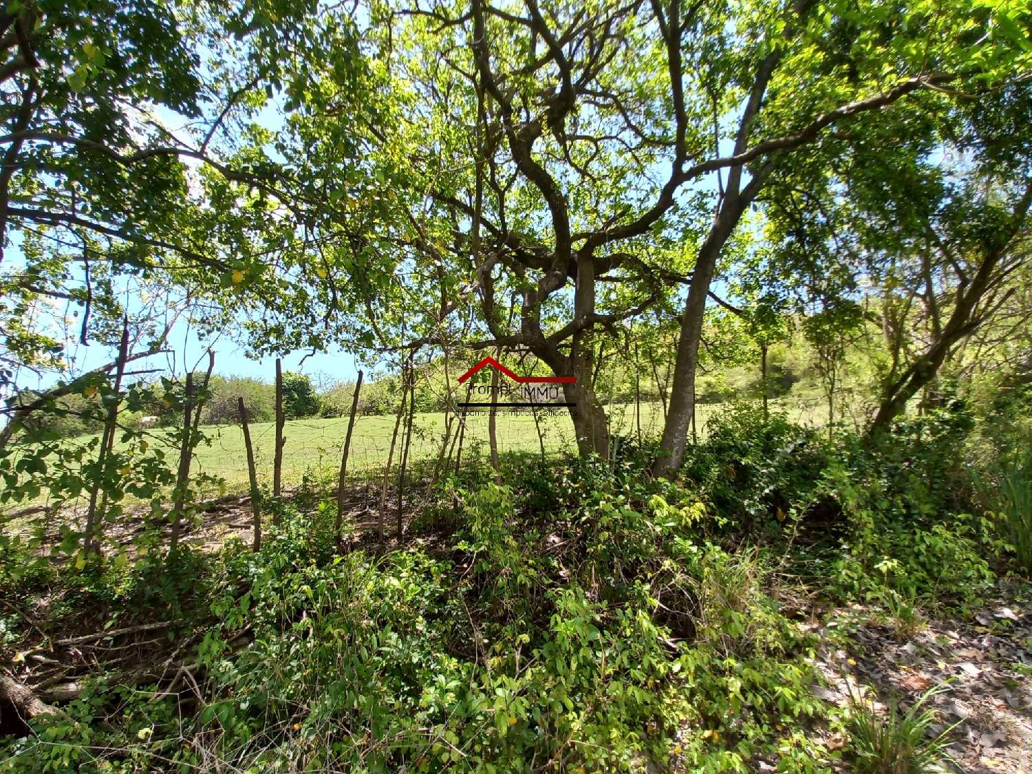 te koop terrein Le Vauclin Martinique 4