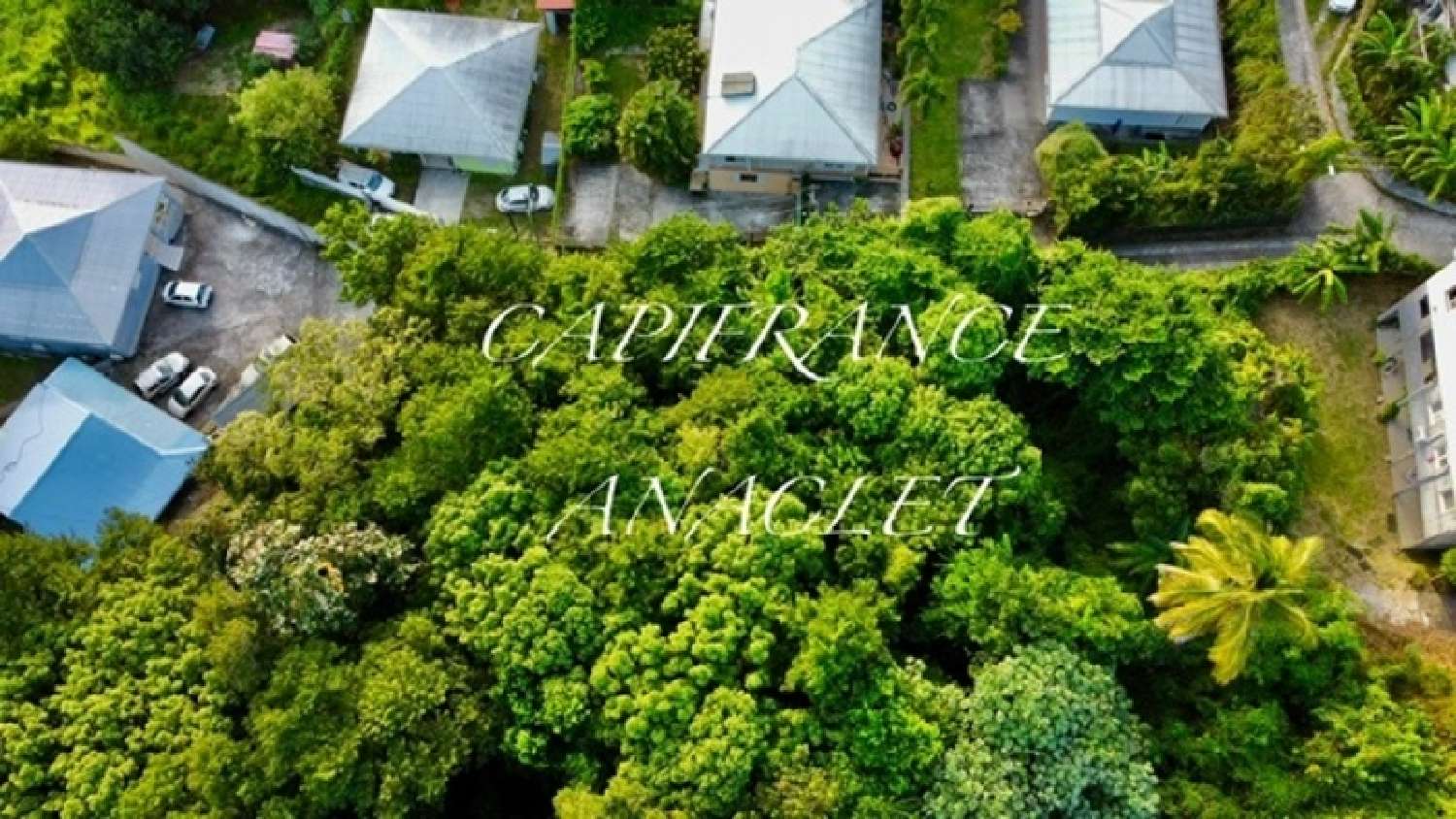 kaufen Grundstück Les Anses-d'Arlet Martinique 2