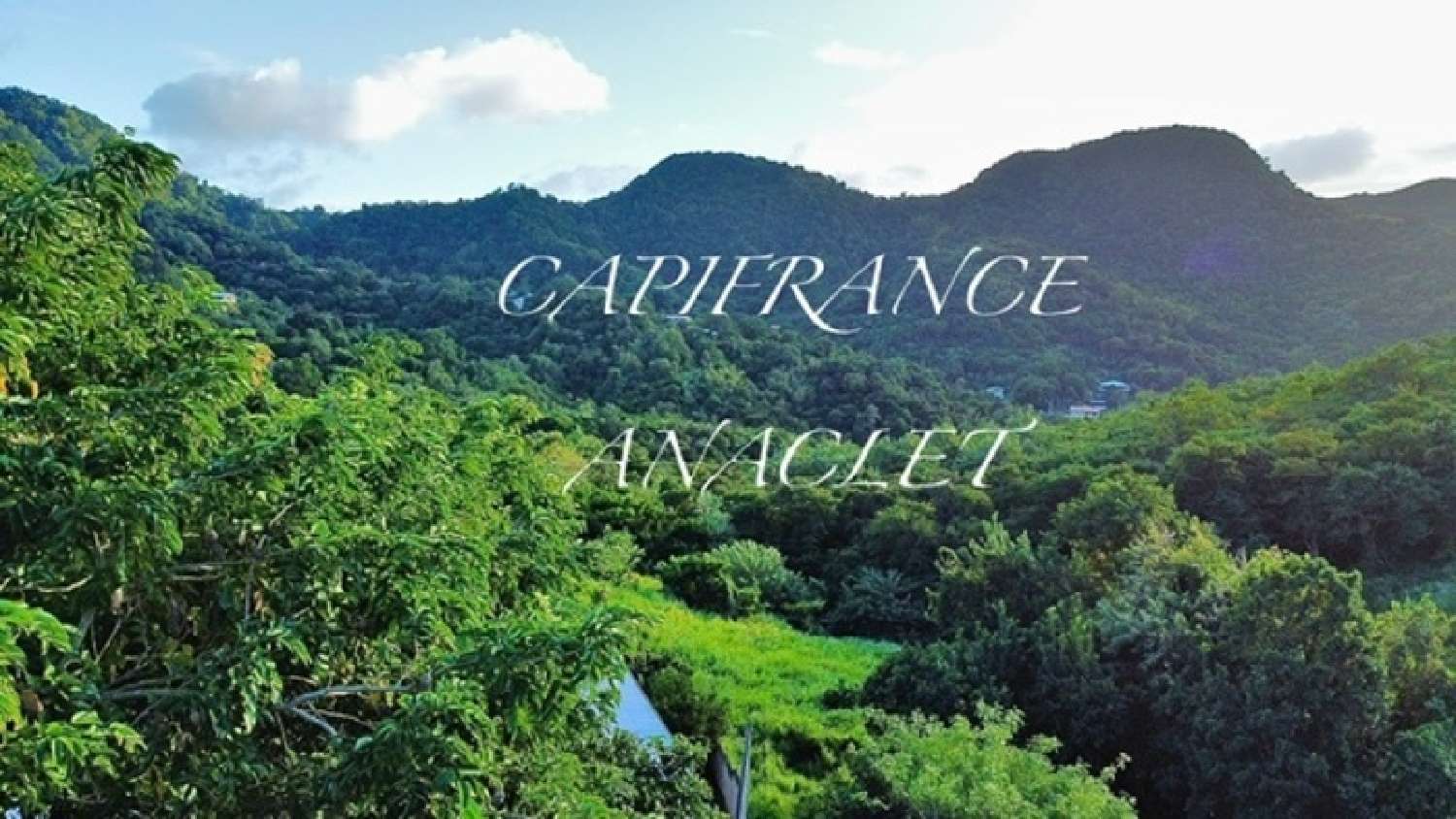 kaufen Grundstück Les Anses-d'Arlet Martinique 4