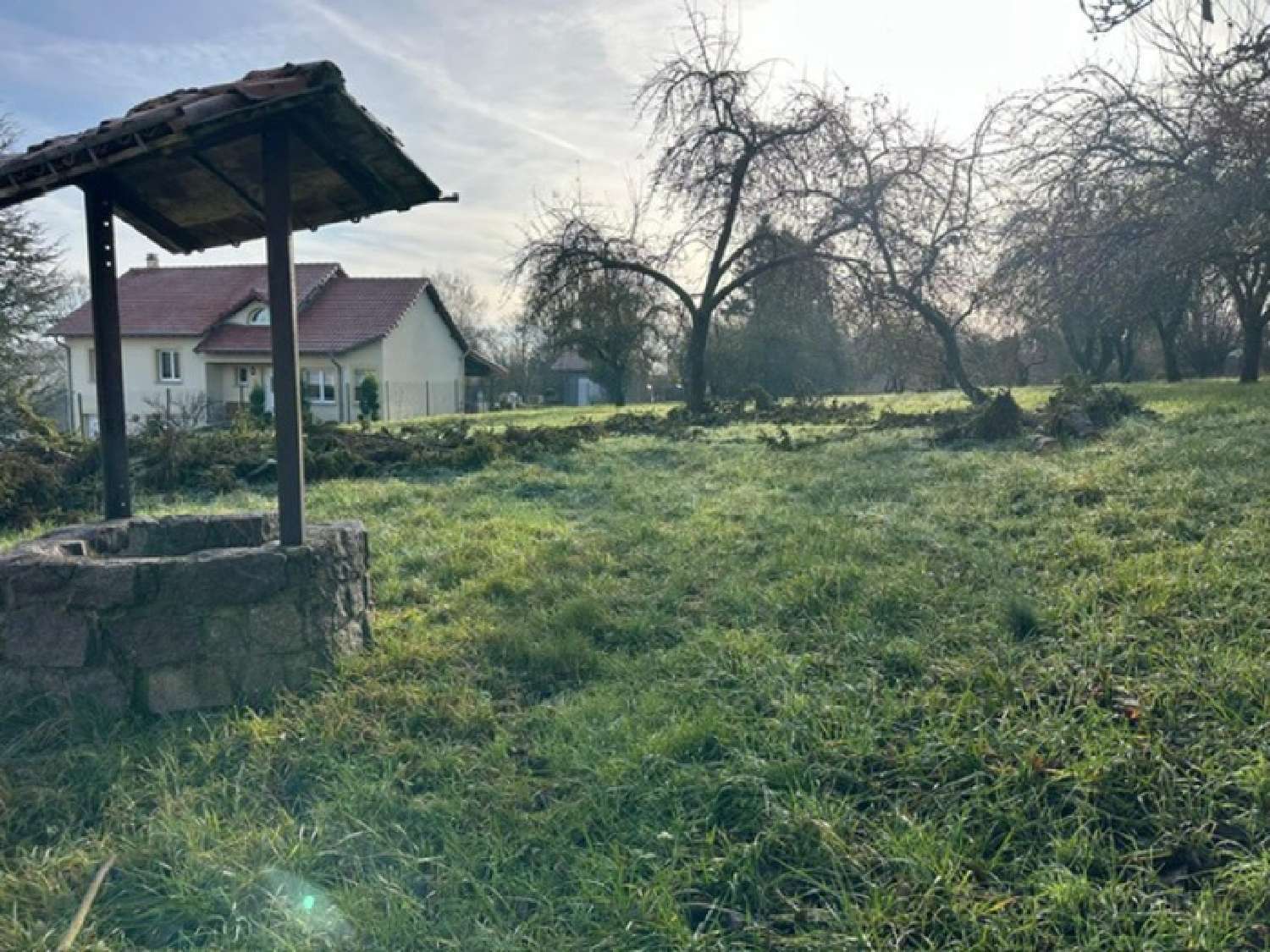 kaufen Grundstück Les Étangs Moselle 5