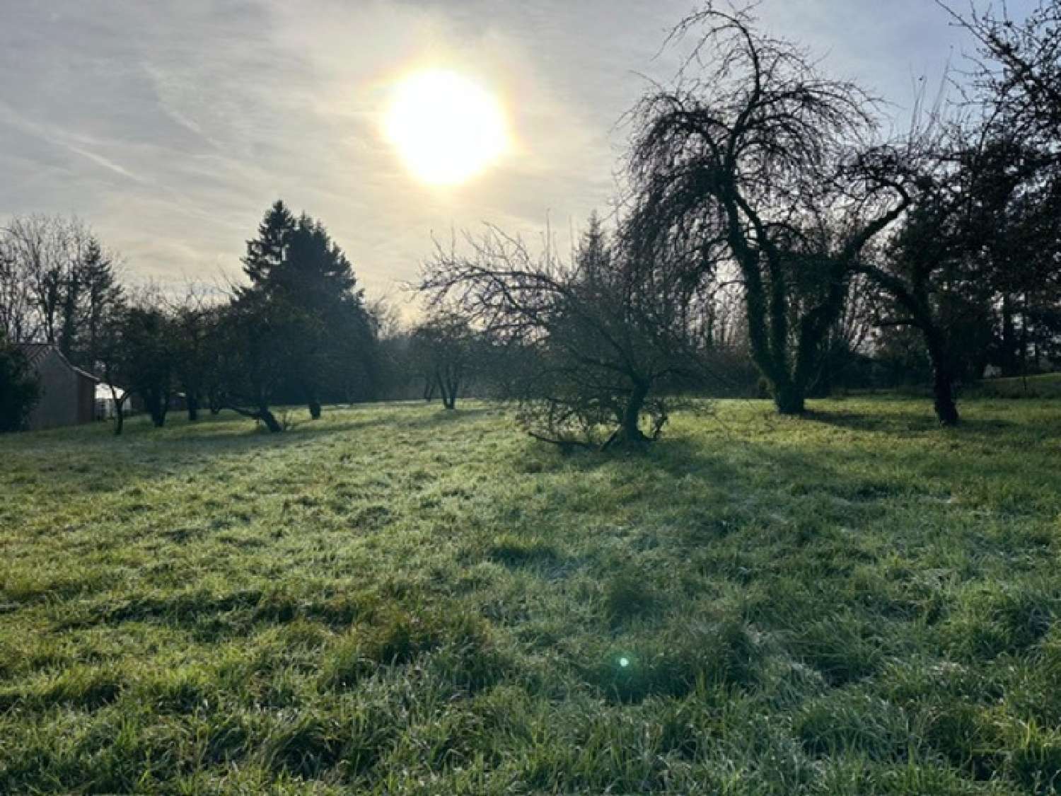 kaufen Grundstück Les Étangs Moselle 6
