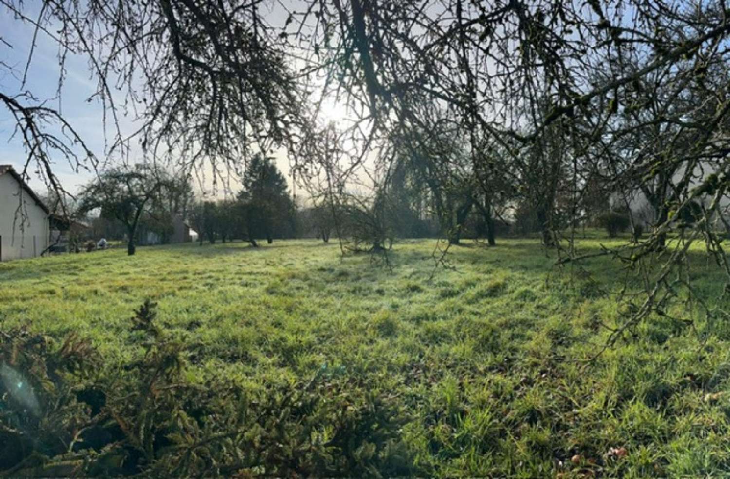 kaufen Grundstück Les Étangs Moselle 7