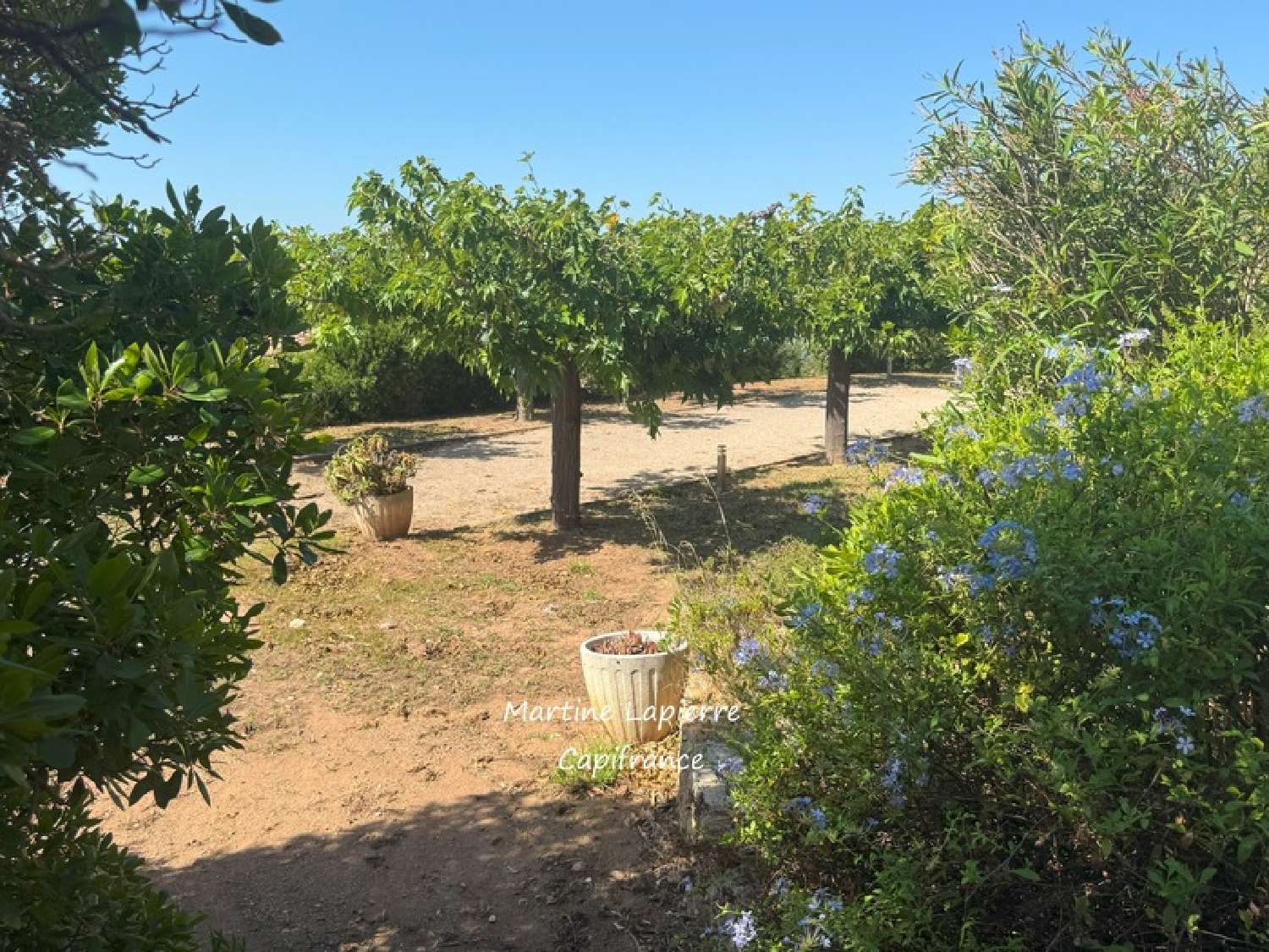  à vendre terrain Les Issambres Var 7