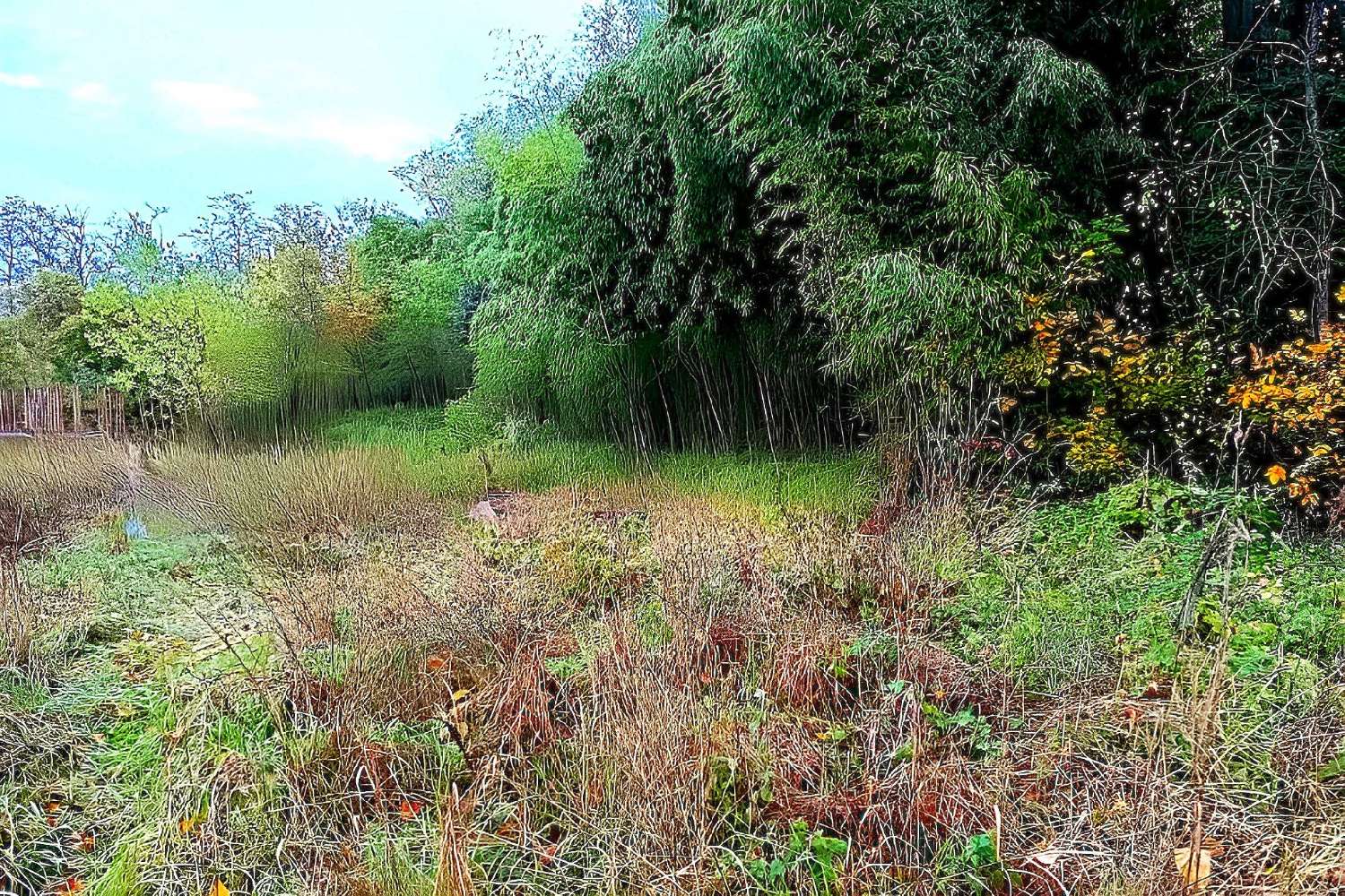 kaufen Grundstück Lescure-d'Albigeois Tarn 6