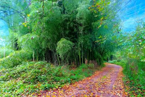 Lescure-d'Albigeois Tarn Grundstück Bild 7231508