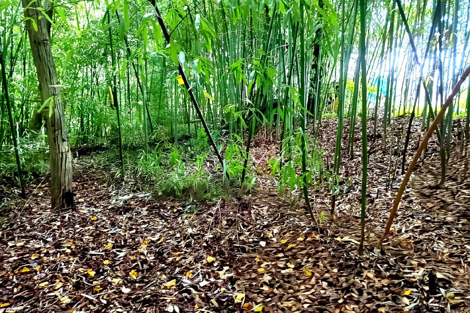  kaufen Grundstück Lescure-d'Albigeois Tarn 3