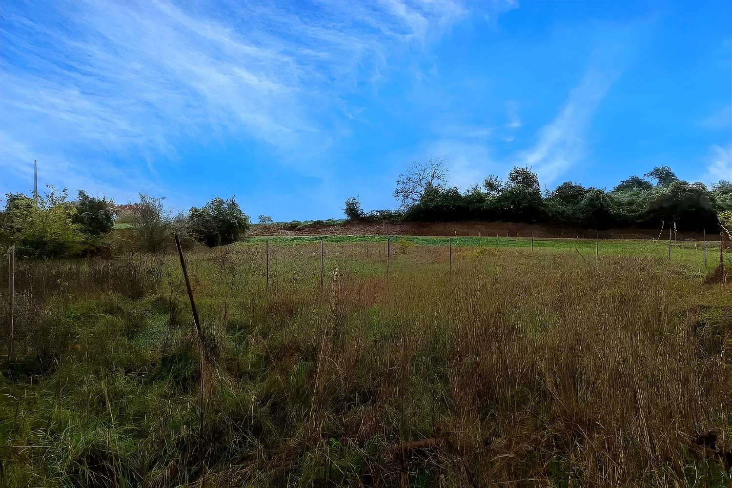  kaufen Grundstück Lescure-d'Albigeois Tarn 4
