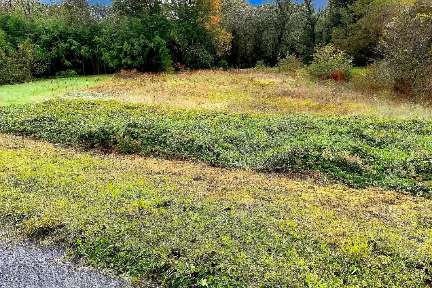  kaufen Grundstück Lescure-d'Albigeois Tarn 5