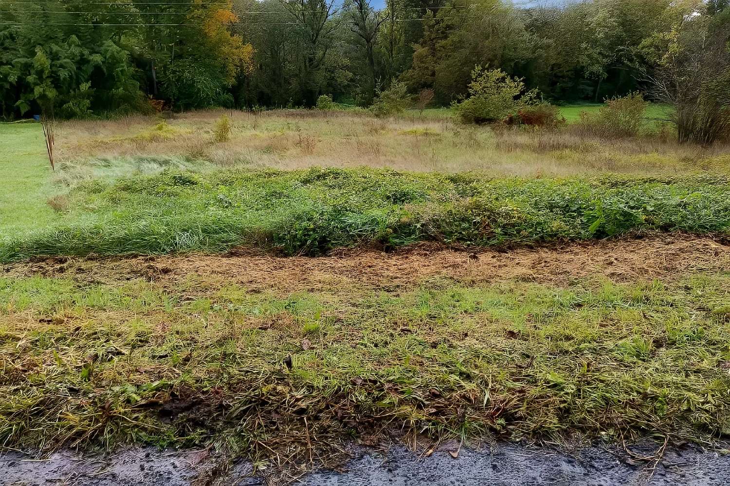  kaufen Grundstück Lescure-d'Albigeois Tarn 7