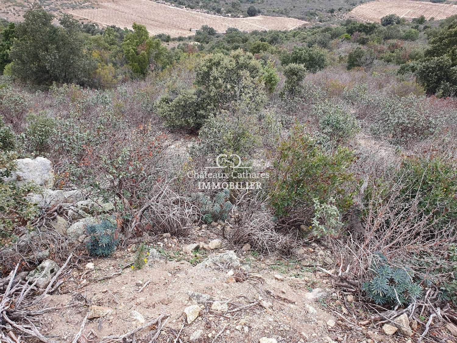 for sale terrain Lesquerde Pyrénées-Orientales 5