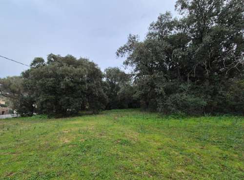 Lumio Haute-Corse terrain foto 7232144