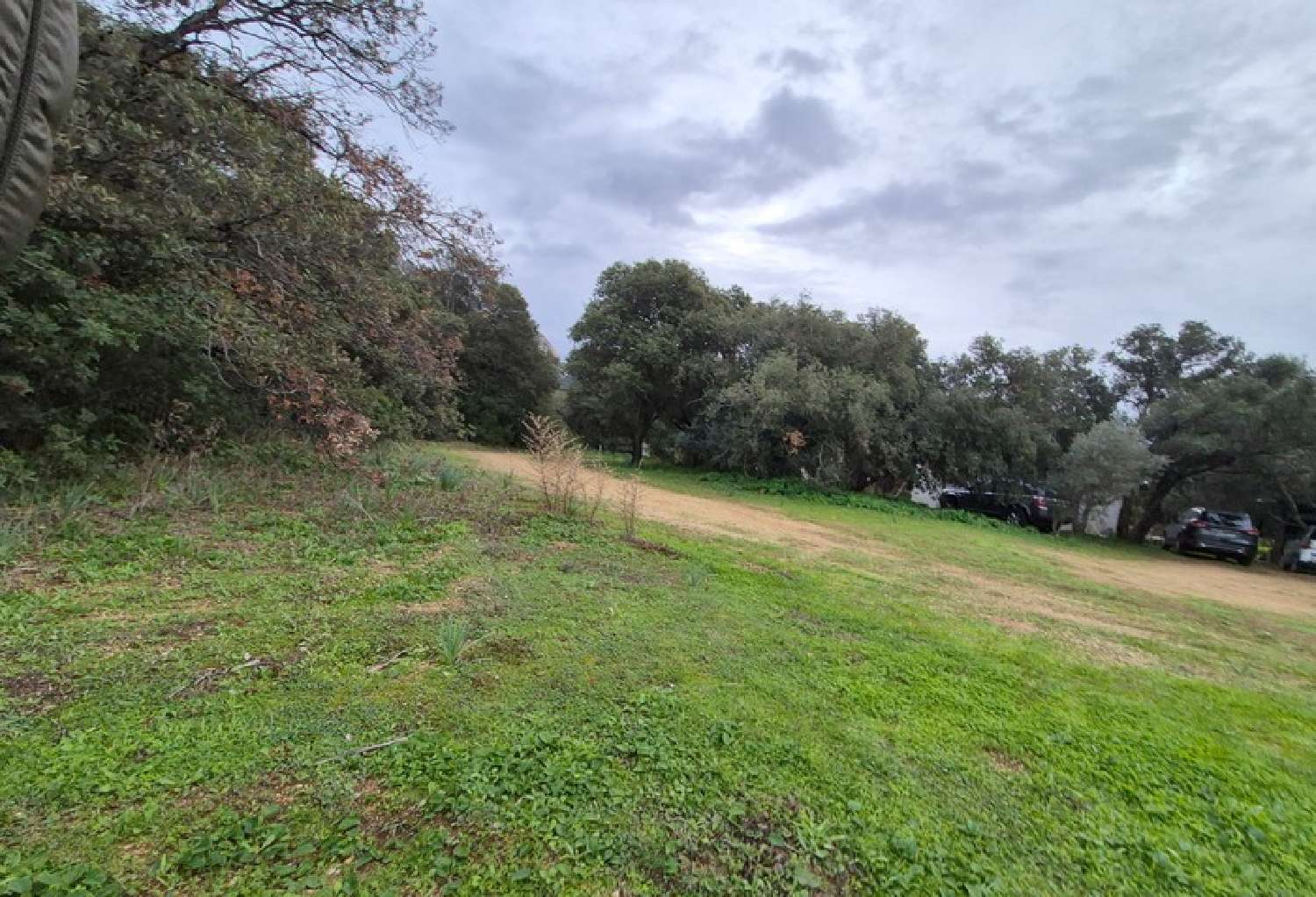  à vendre terrain Lumio Haute-Corse 2