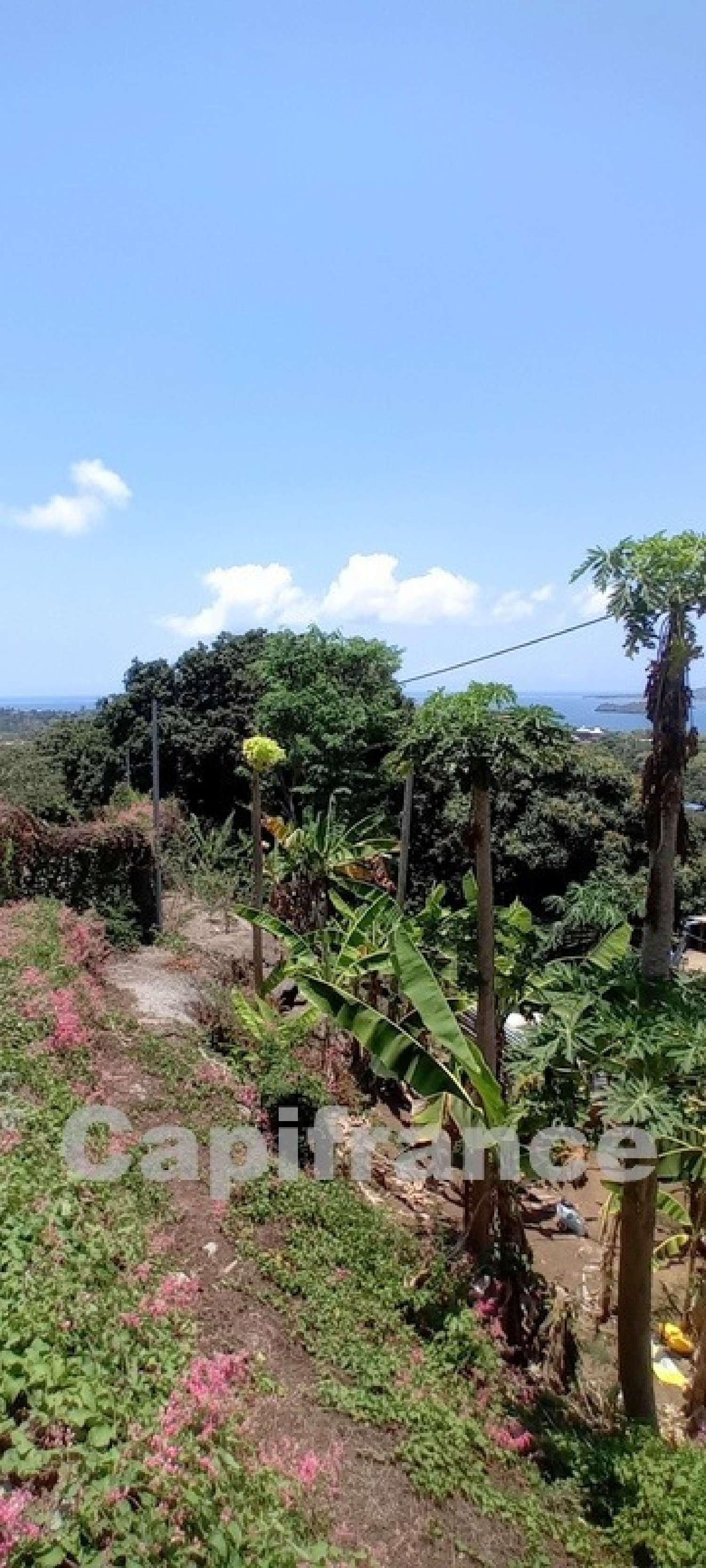  te koop terrein Mamoudzou Mayotte 4