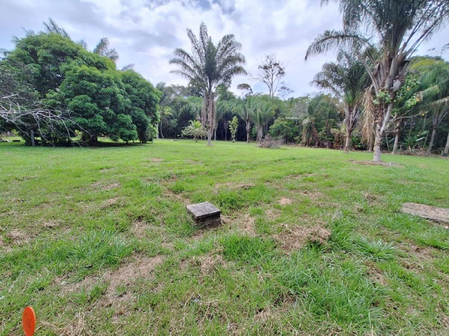 te koop terrein Mana Guyane 2