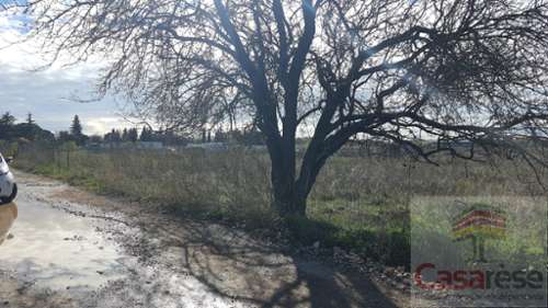 Manduel Gard terrain foto 7225832