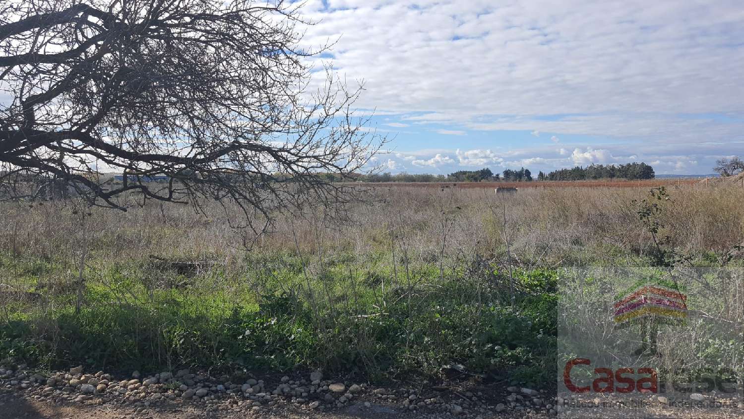 à vendre terrain Manduel Gard 2