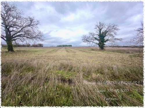 Marmagne Cher terrain foto 7220144