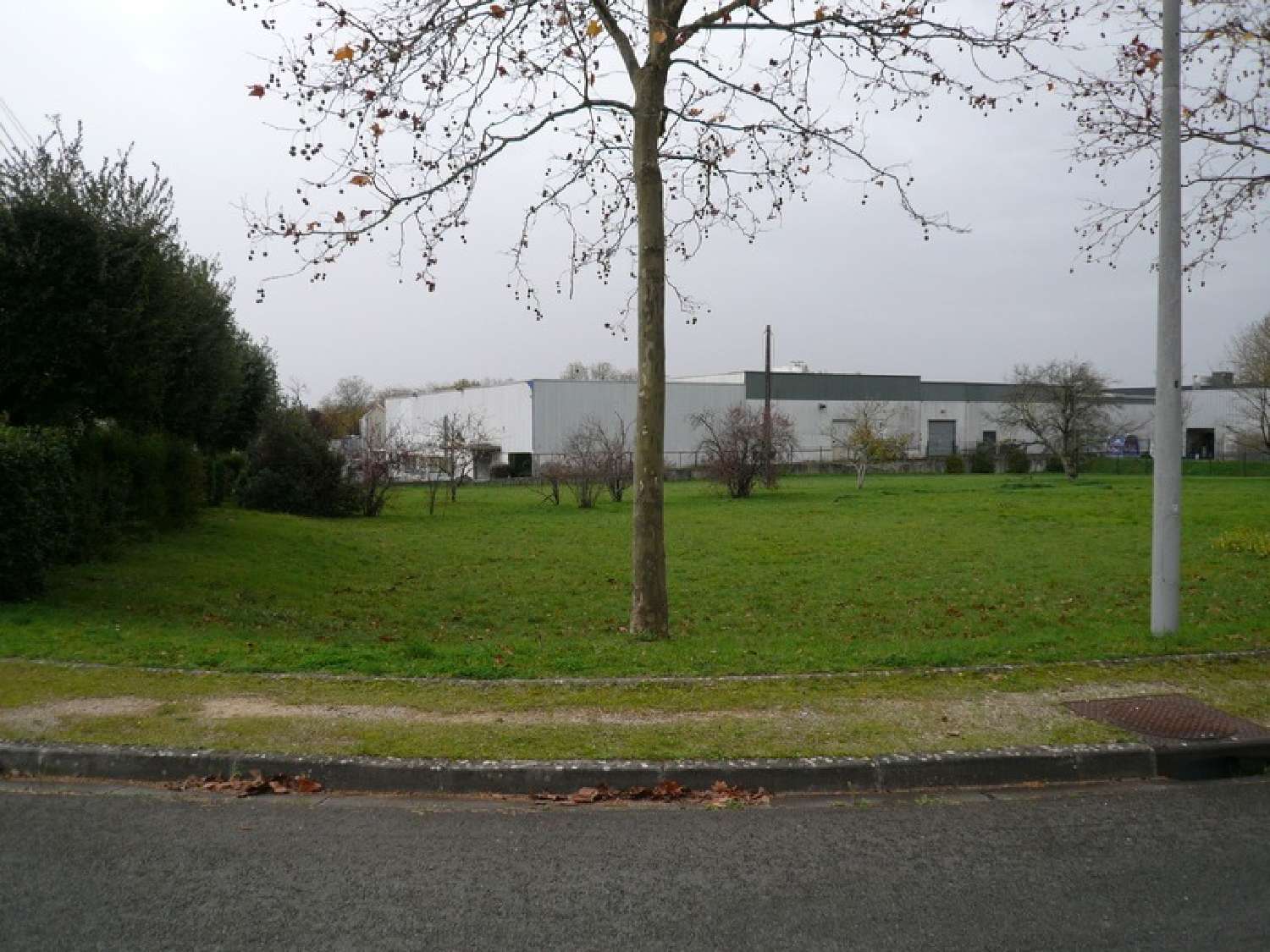 for sale terrain Merpins Charente 3