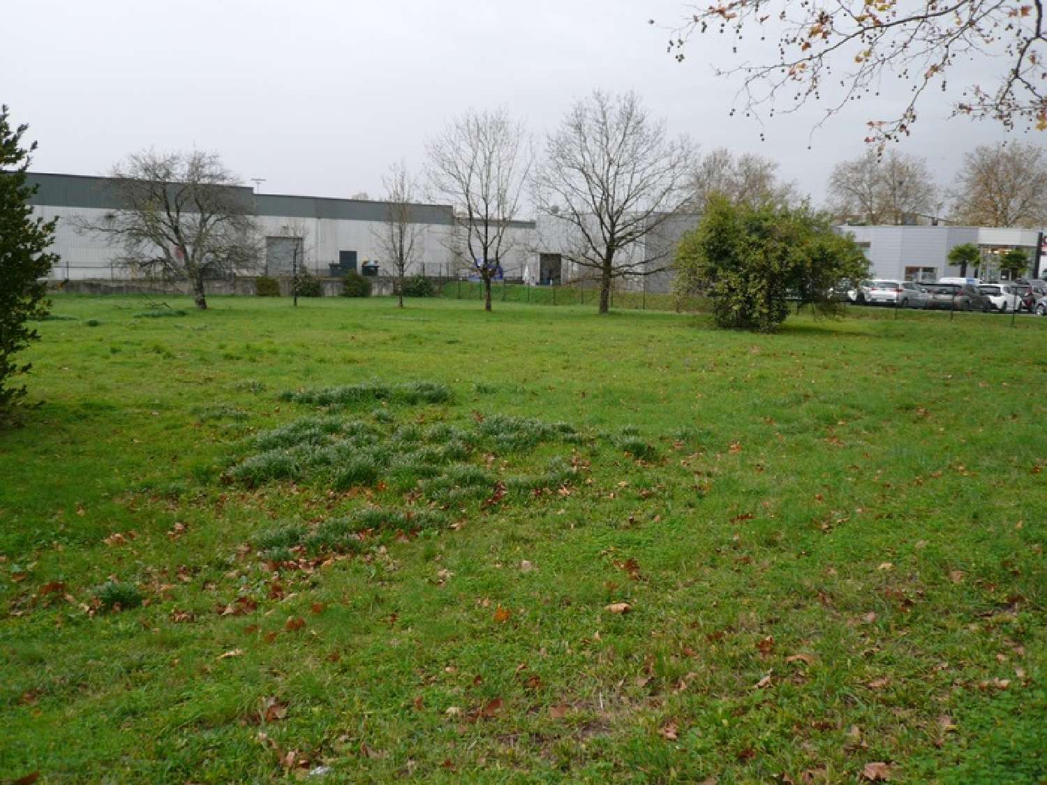 for sale terrain Merpins Charente 4