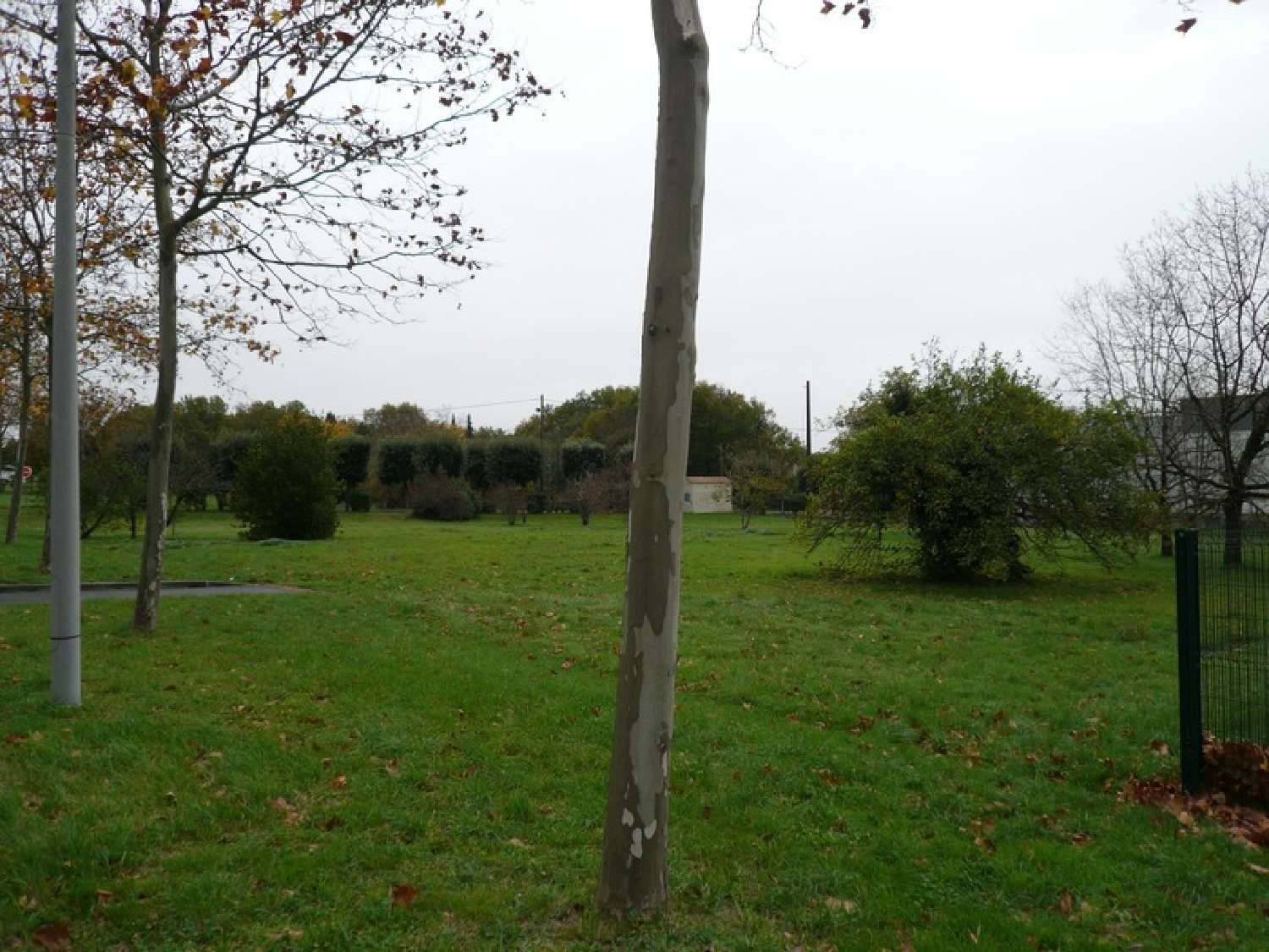 for sale terrain Merpins Charente 8