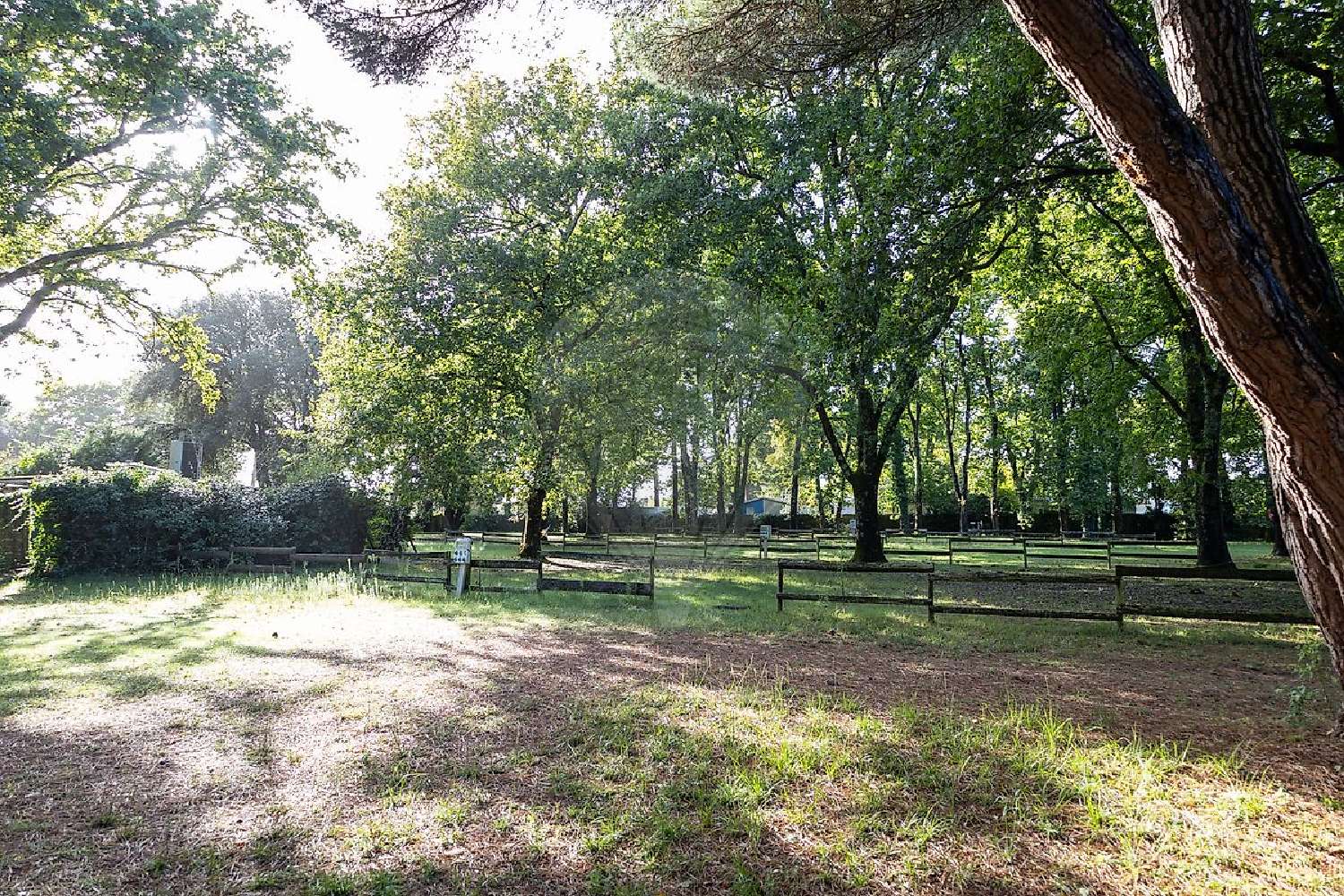  kaufen Grundstück Meschers-sur-Gironde Charente-Maritime 4