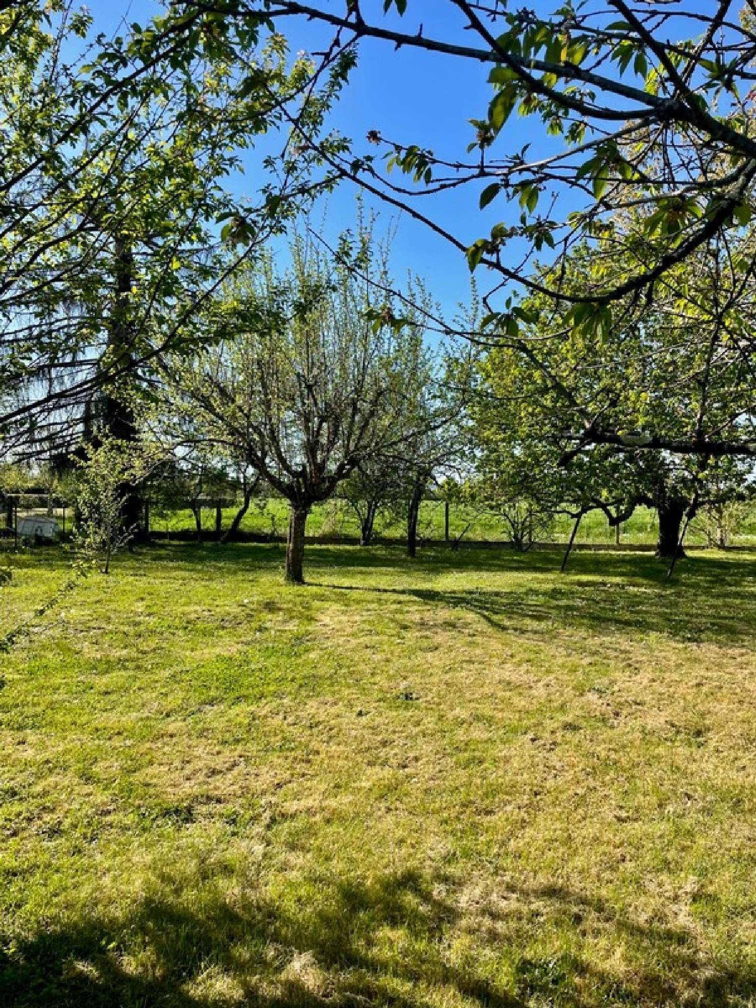  à vendre terrain Montauban Tarn-et-Garonne 1