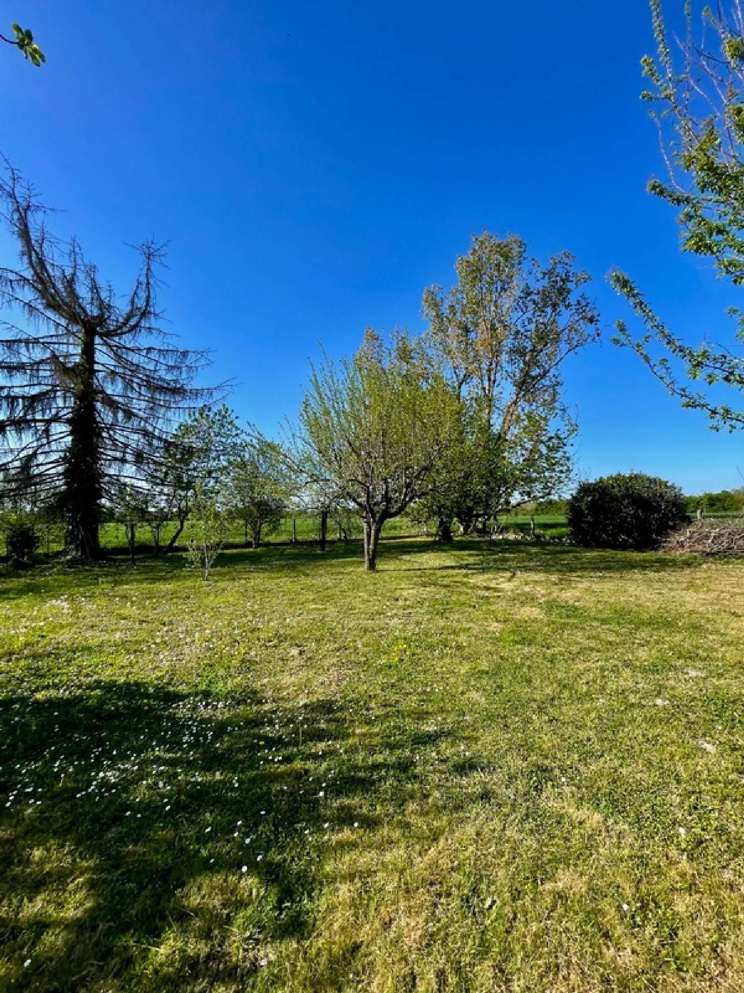  à vendre terrain Montauban Tarn-et-Garonne 4