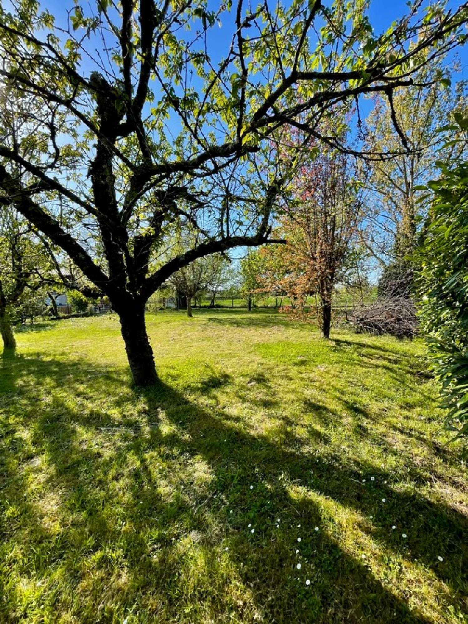  à vendre terrain Montauban Tarn-et-Garonne 5