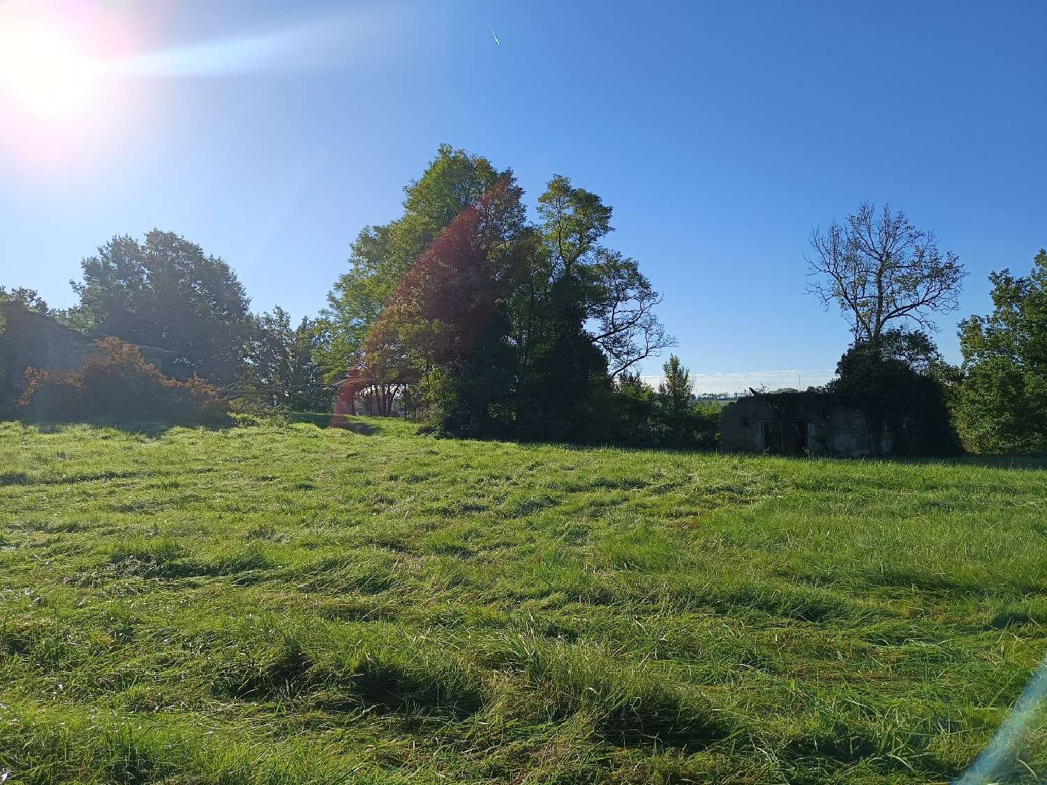  kaufen Grundstück Montdurausse Tarn 2