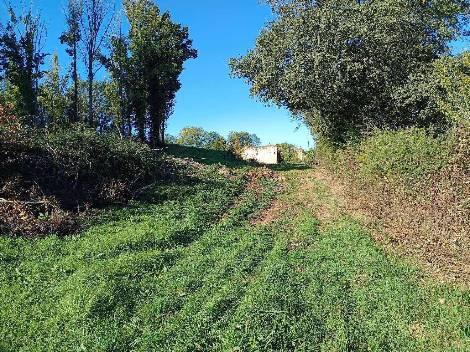  kaufen Grundstück Montdurausse Tarn 8