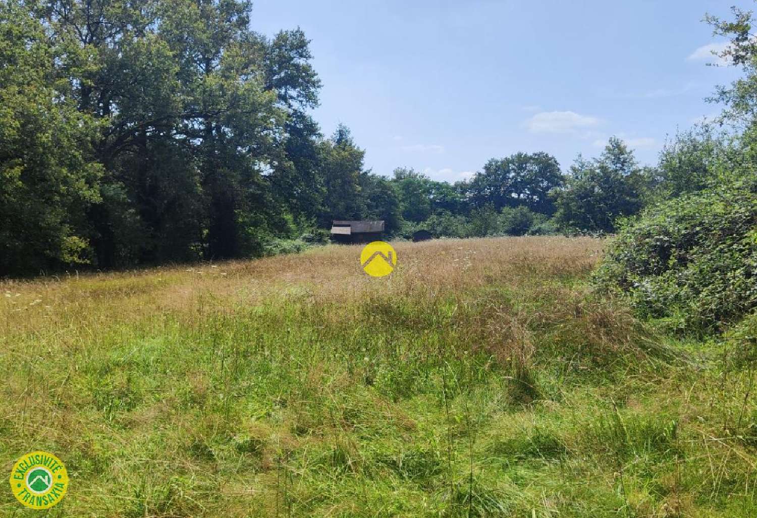  à vendre terrain Mornay-sur-Allier Cher 3