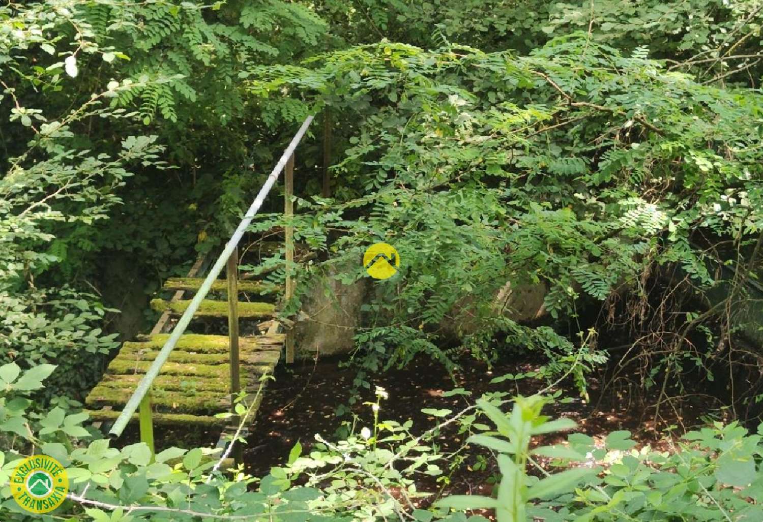  à vendre terrain Mornay-sur-Allier Cher 4