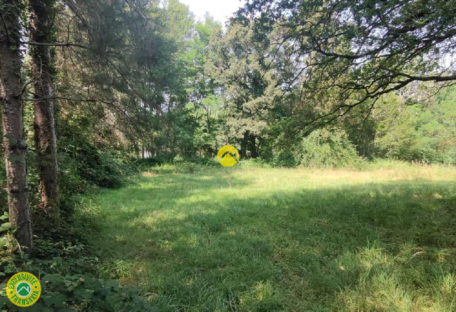  à vendre terrain Mornay-sur-Allier Cher 6