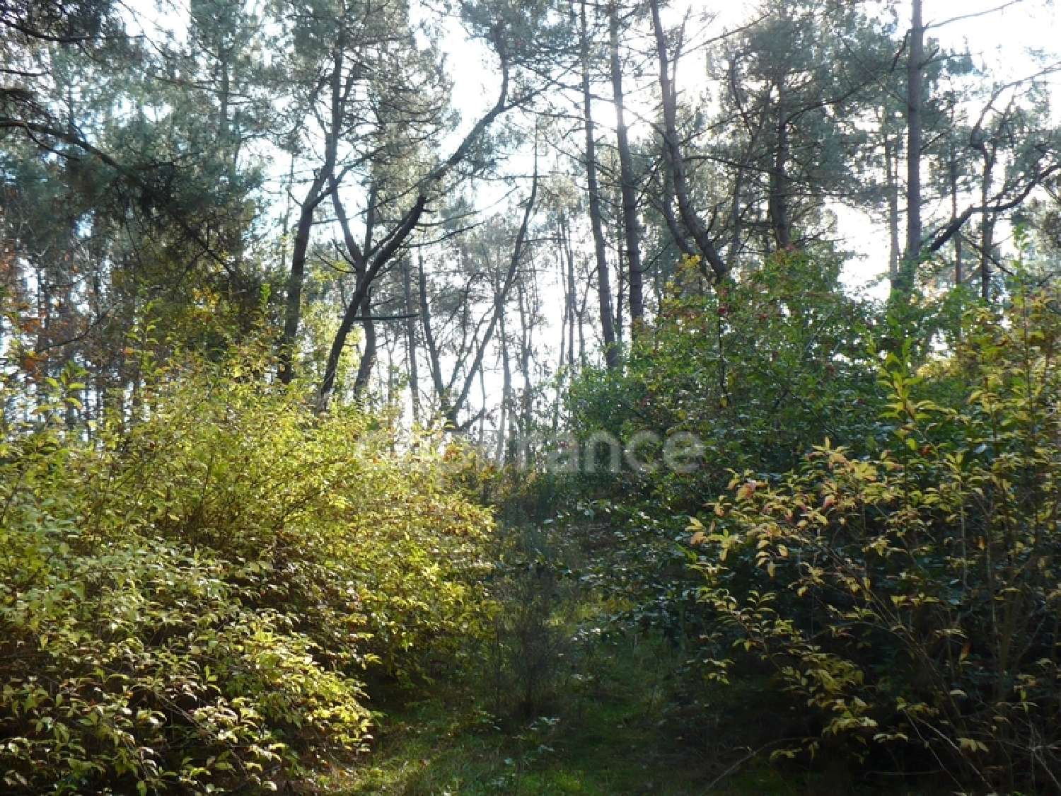 te koop terrein Nivillac Morbihan 1